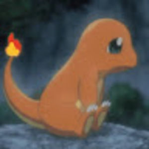 Meet your Posher, Henry